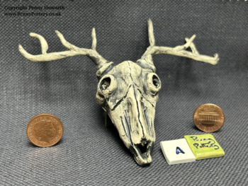 Ceramic Animal Skulls. Exclusive Stoneware Pottery pieces. Designed by Artist Penny Howarth