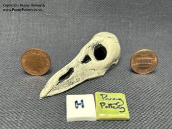 Ceramic Animal Skulls. Exclusive Stoneware Pottery pieces. Designed by Artist Penny Howarth - Image 9
